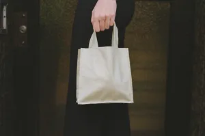 BIRTHDAY BAG, APPLE