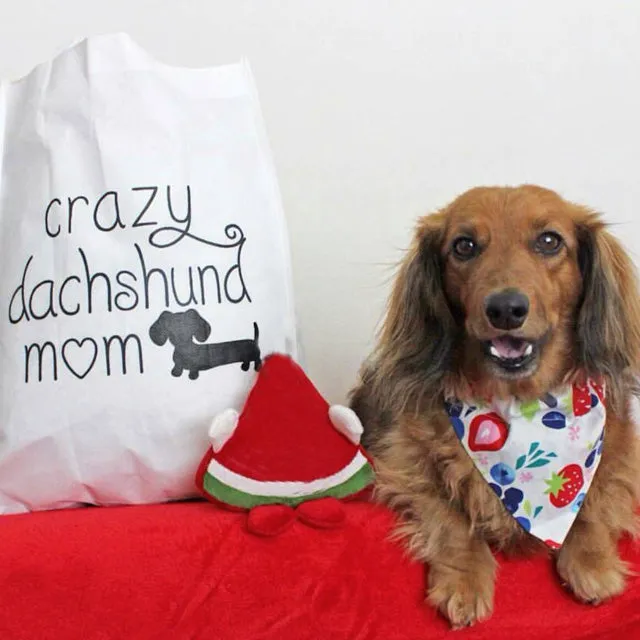 Crazy Dachshund Mom Tote Bags