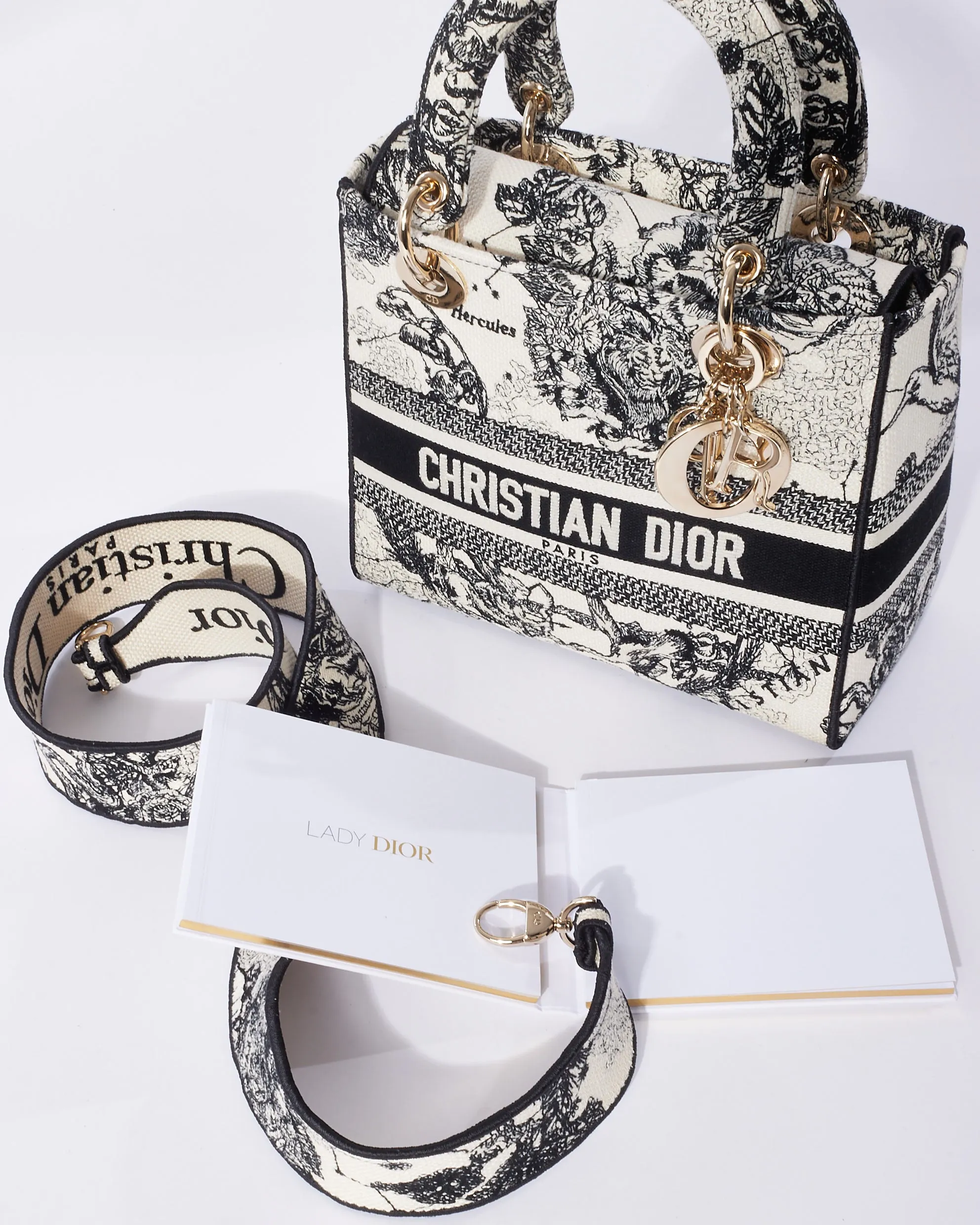 Dior Cream & Black Toile De Jouy Zodiac Embroidery Canvas Medium Lady D-Lite Bag