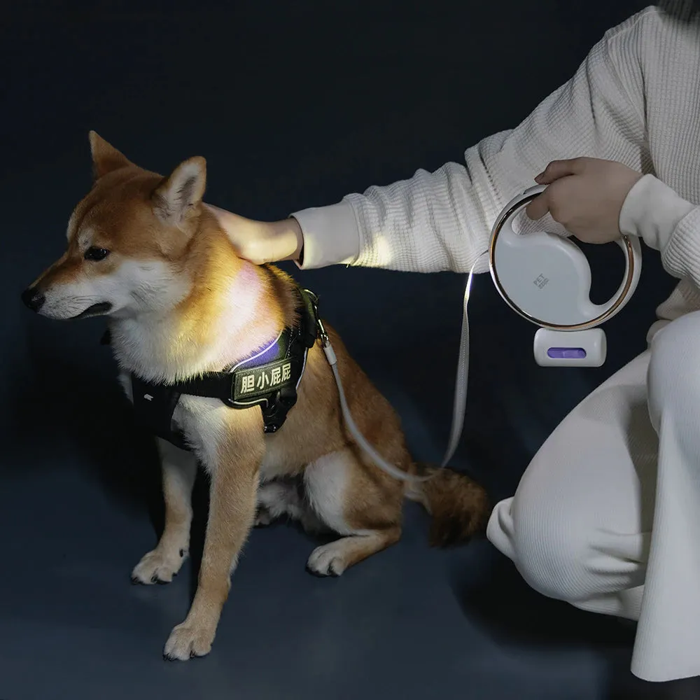 GlowPaws Retractable Leash