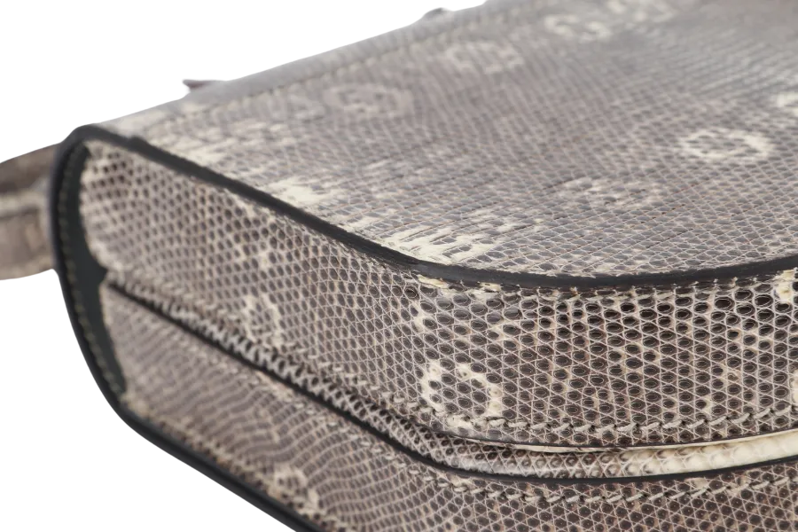 HERMES MOSAIQUE MINI 17 STAMP D (YEAR 2019) OMBRE LIZARD SILVER HARDWARE WITH DUST COVER