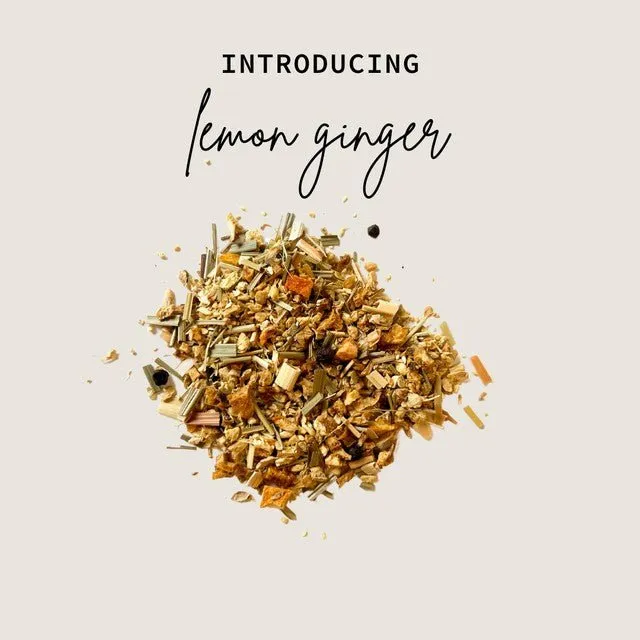 Lemon Ginger Mini Tea Tube (5 tea bags)