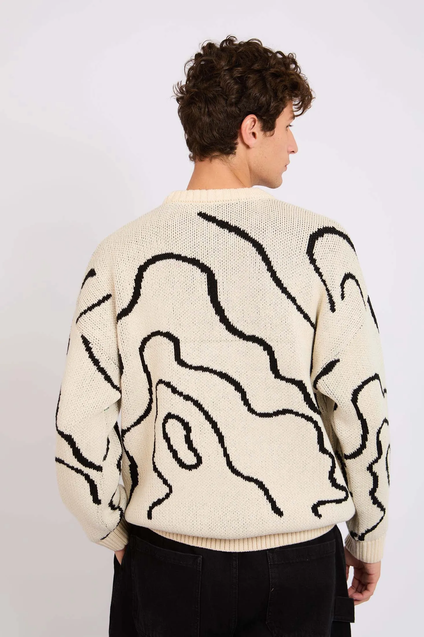 Men Regular Pullover White