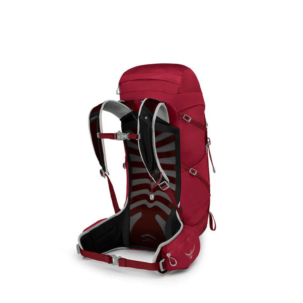 Osprey Talon 33