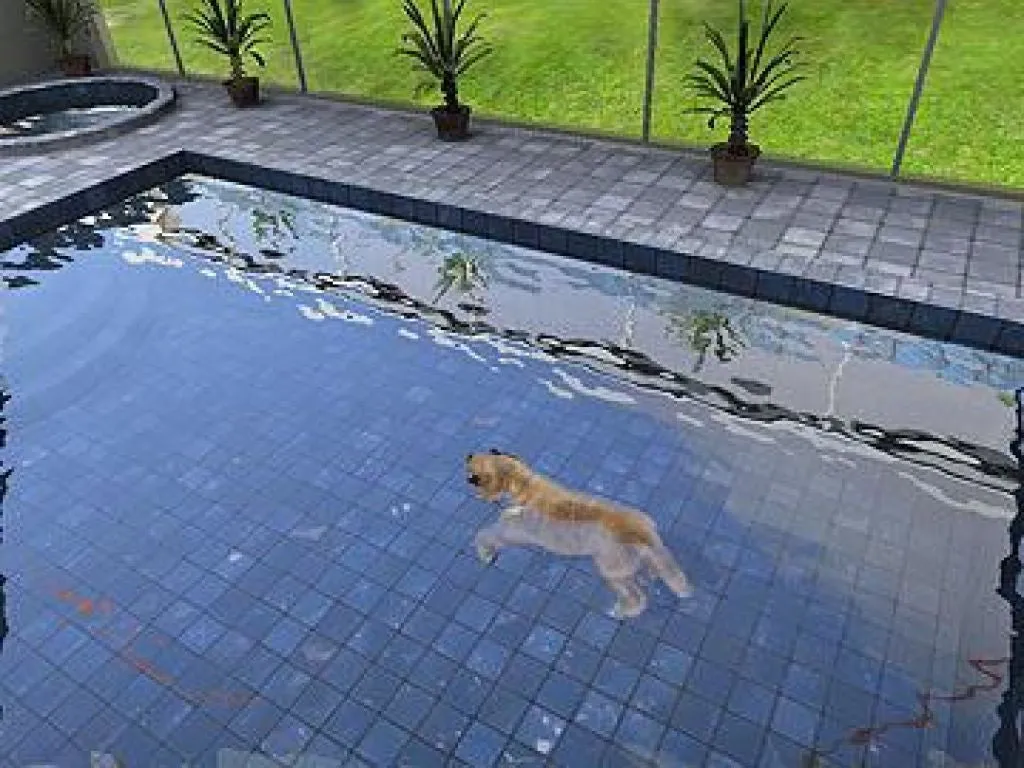 Paws and Claws: Pampered Pets (PC)