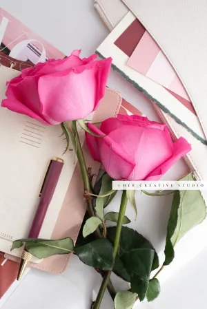 Pink Roses, Pen and Notebook. Stock Photo