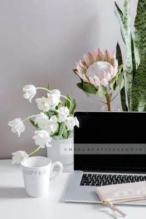 Tilups, Protea & Coffee Workspace