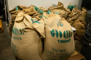 Used Burlap Bags